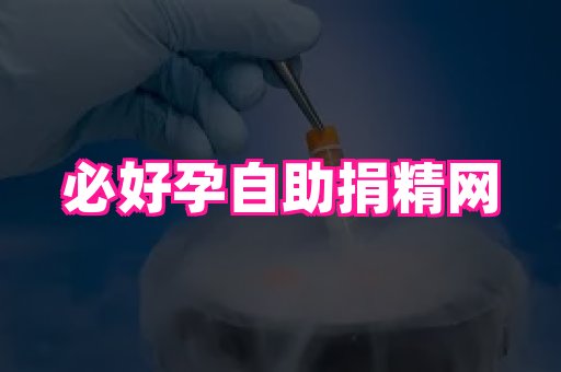 乐乐助孕网 3